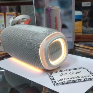 اسپیکر حرفه ای HOPESTAR